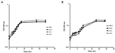 Aerobic Respiration and Its Regulation in the Metal Reducer Shewanella oneidensis